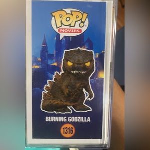 Burning Godzilla
